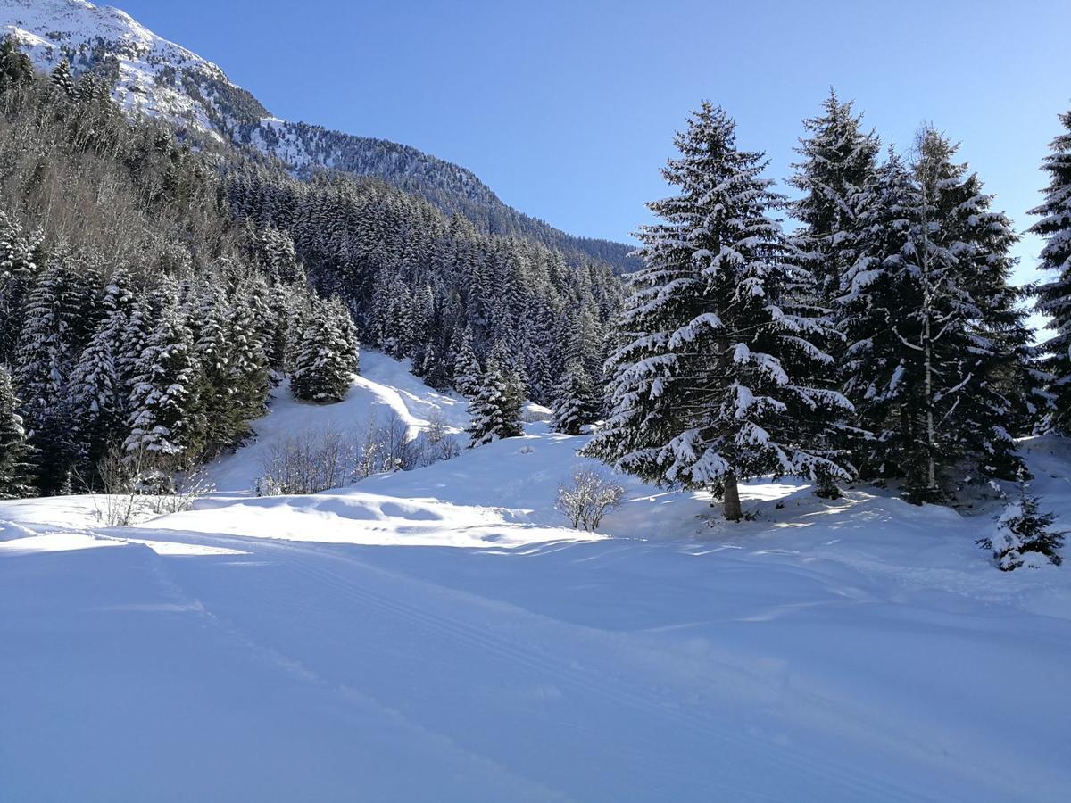 Apartamento Haus Waldesruh Neustift im Stubaital Exterior foto