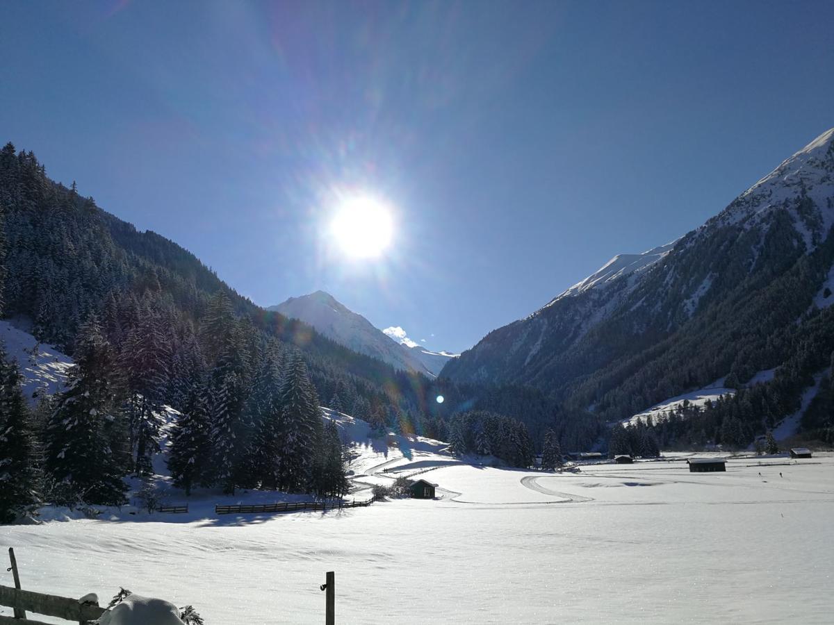 Apartamento Haus Waldesruh Neustift im Stubaital Exterior foto