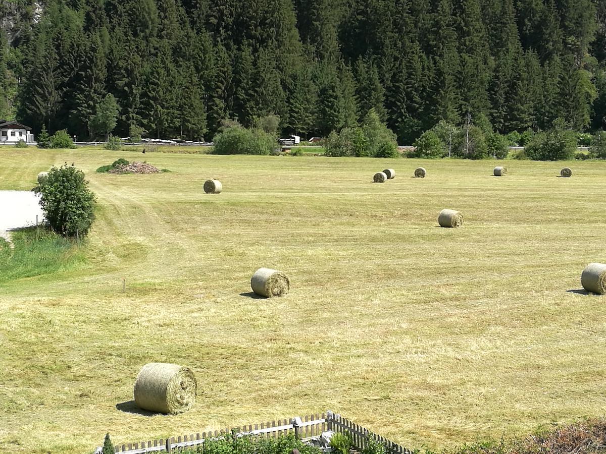 Apartamento Haus Waldesruh Neustift im Stubaital Exterior foto