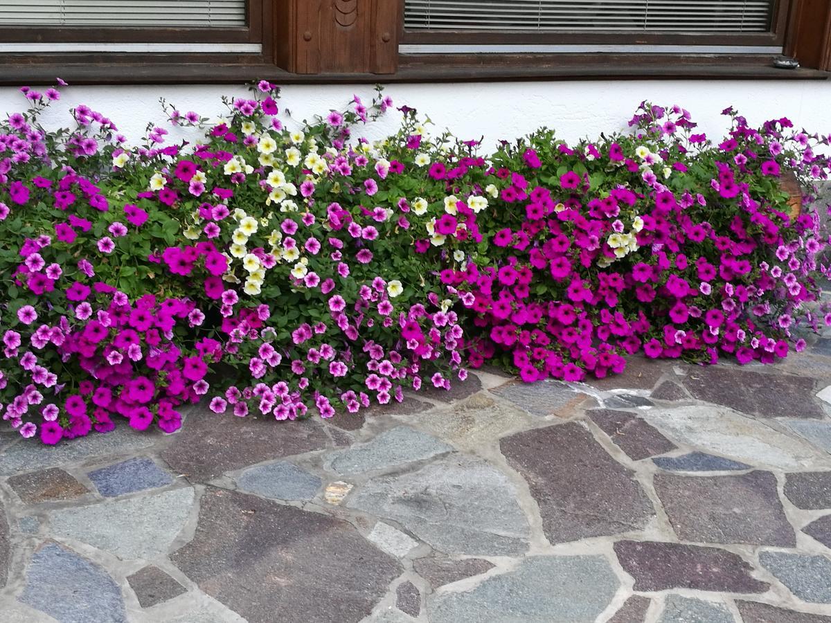 Apartamento Haus Waldesruh Neustift im Stubaital Exterior foto